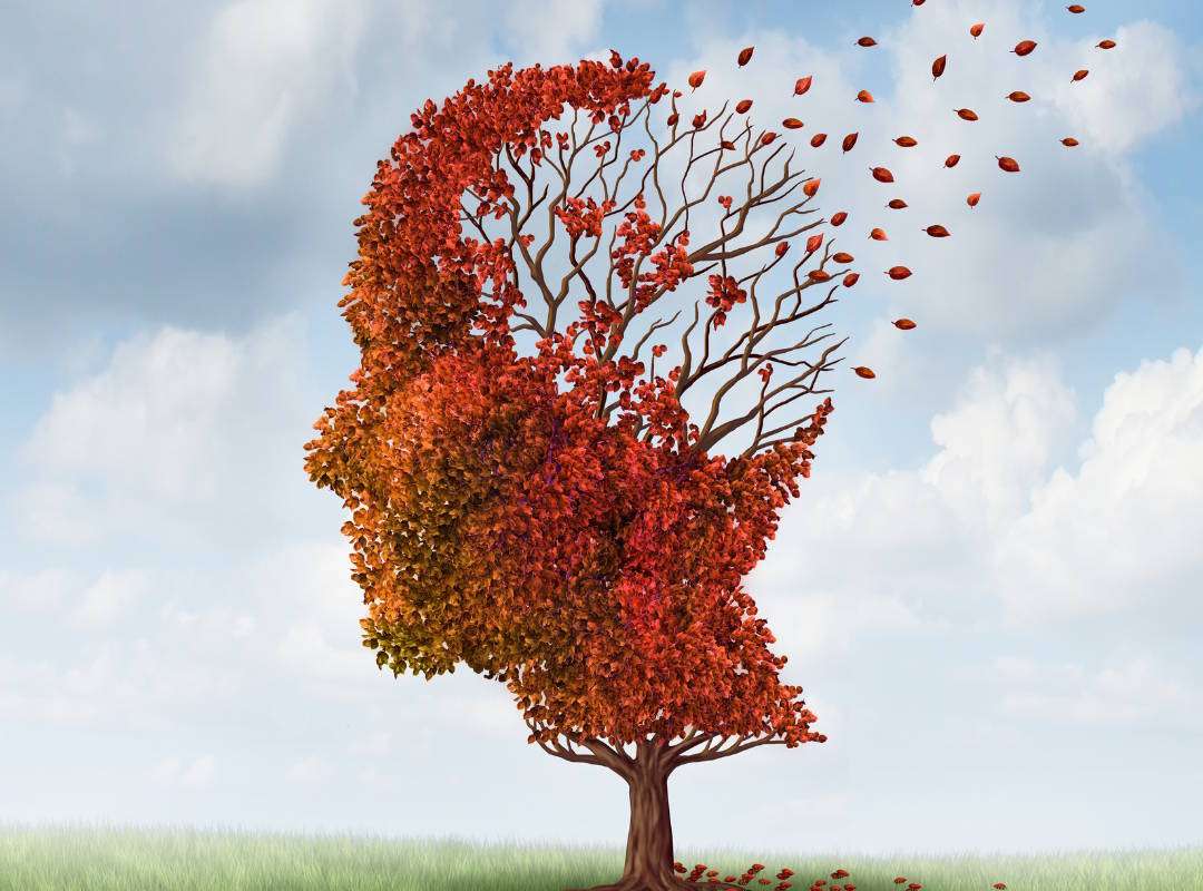 Centre Mèdic Sant Ramon